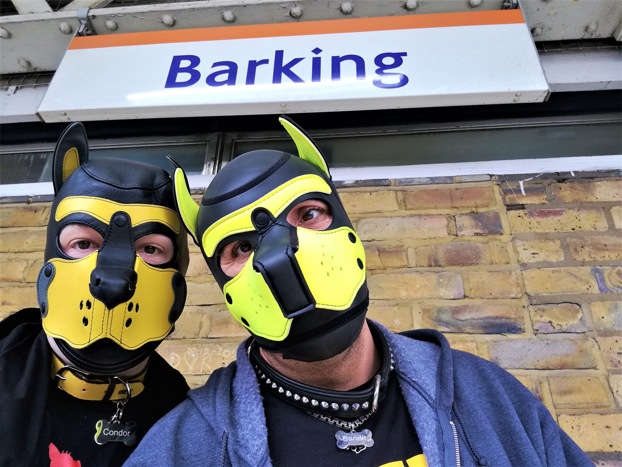 Barking