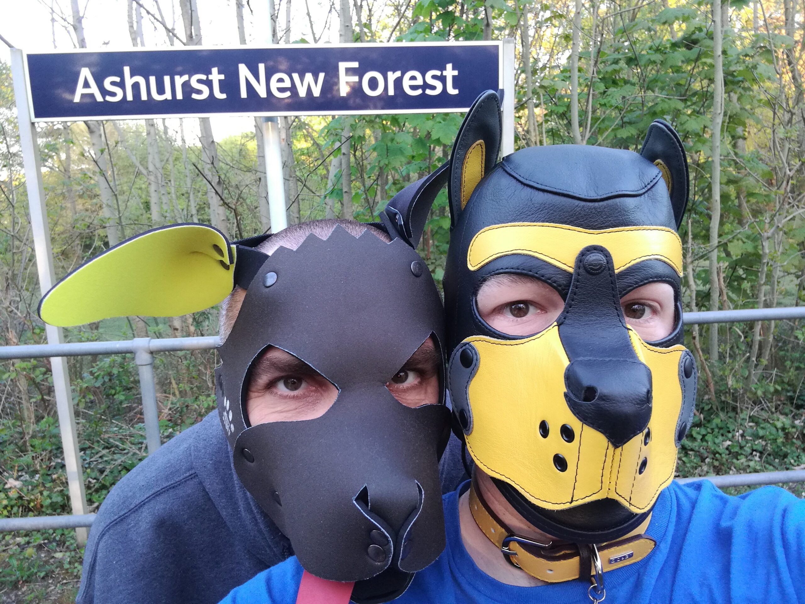 Ashurst New Forest