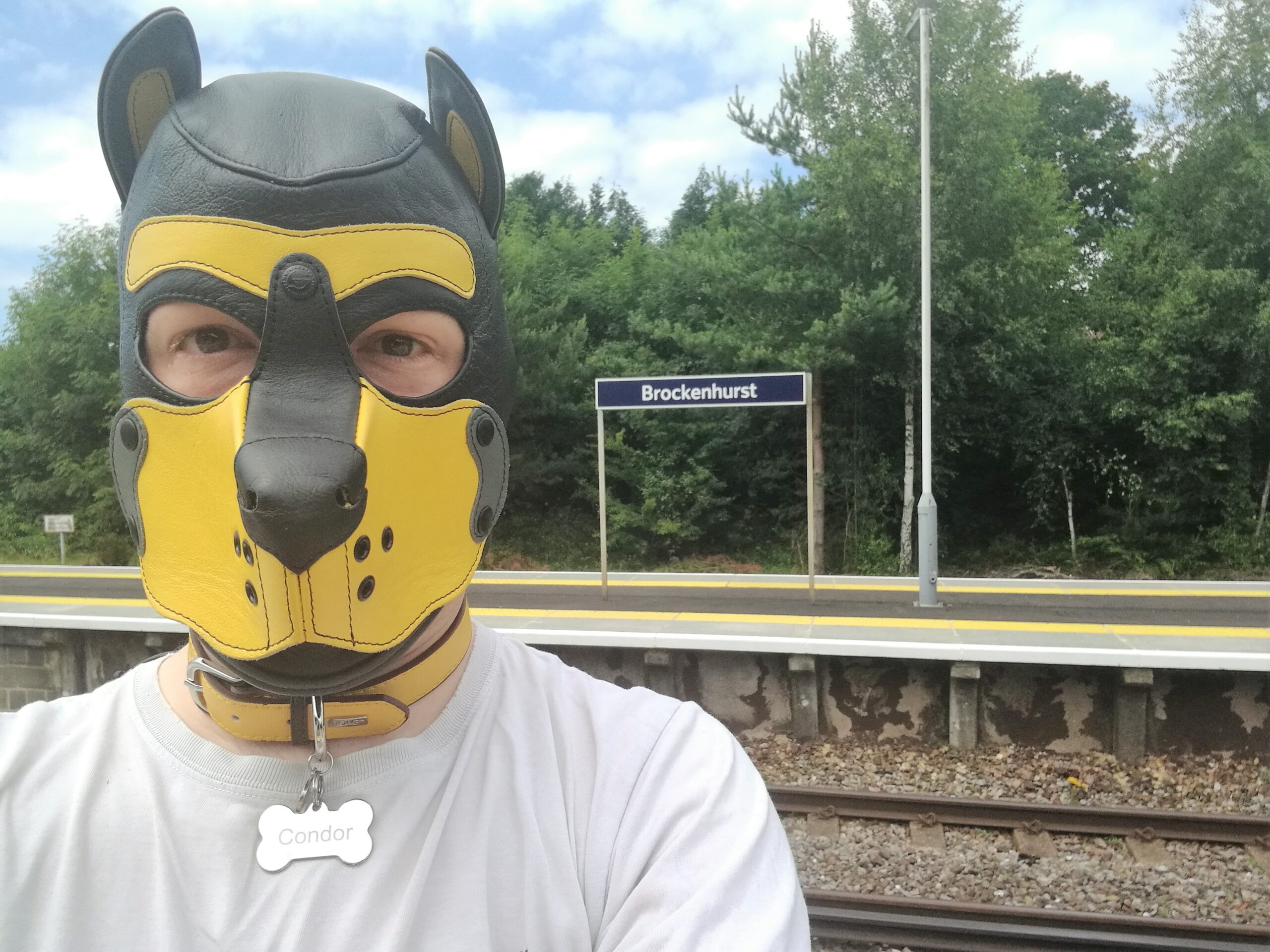 Brockenhurst