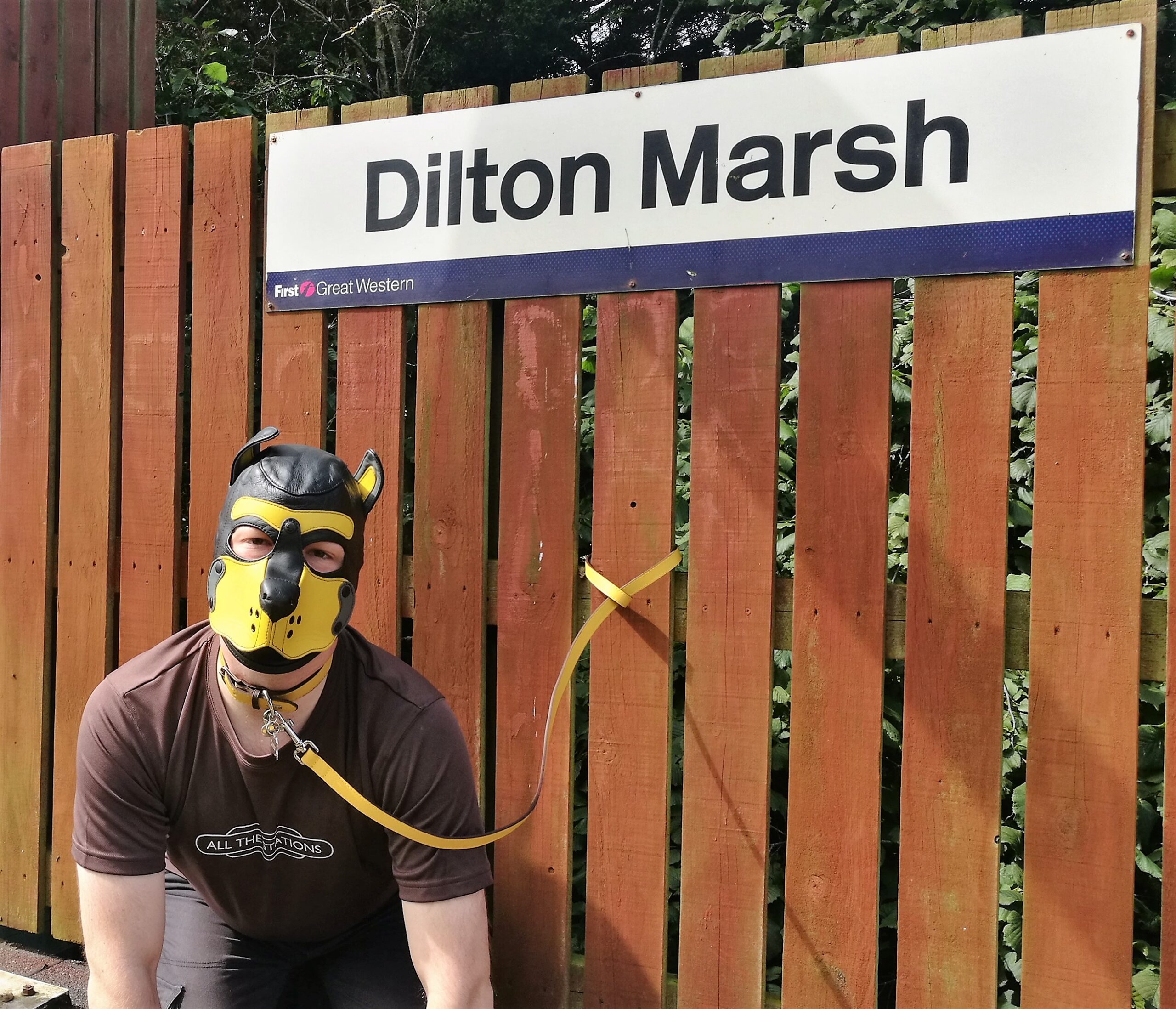 Dilton Marsh