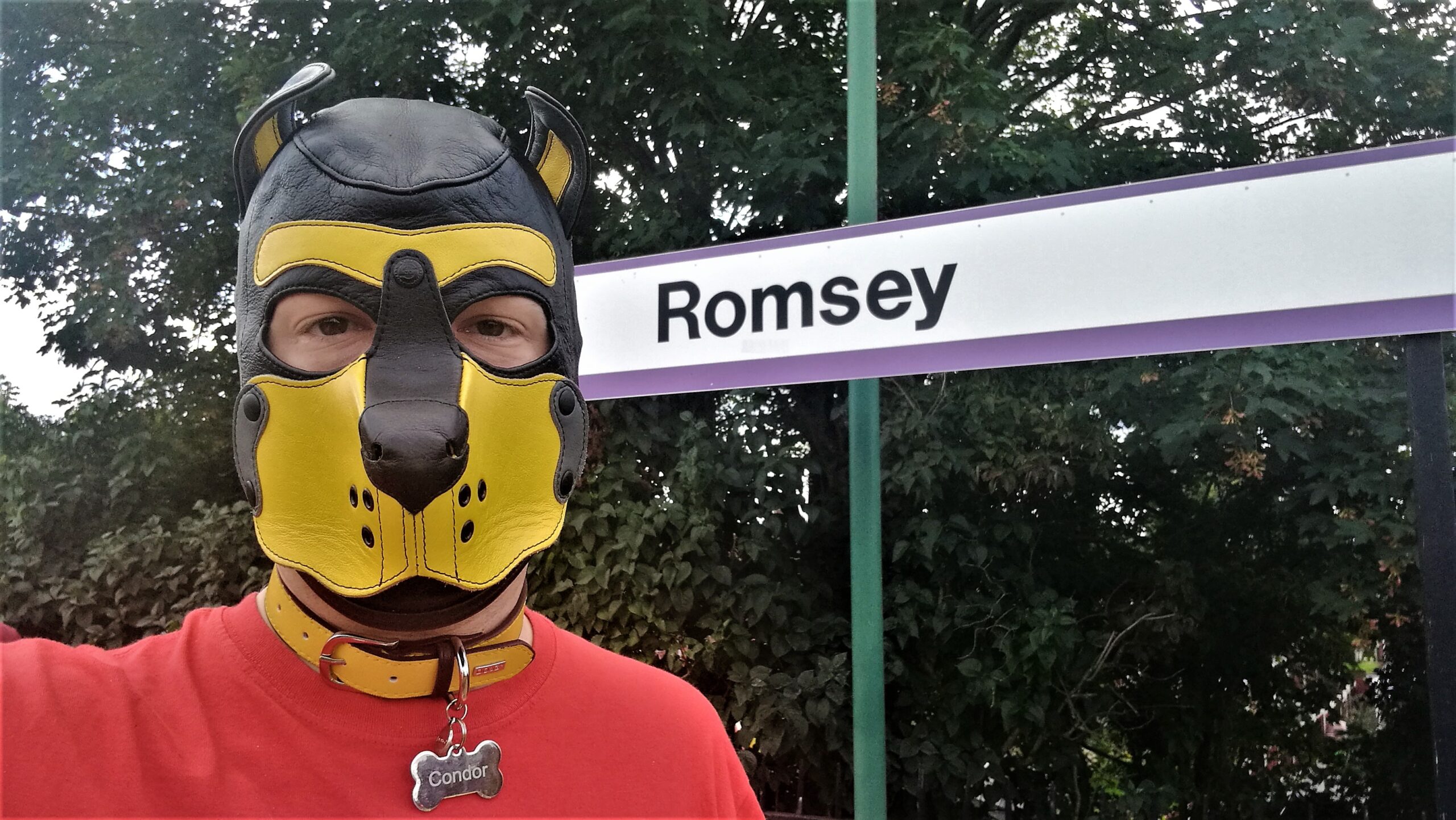 Romsey