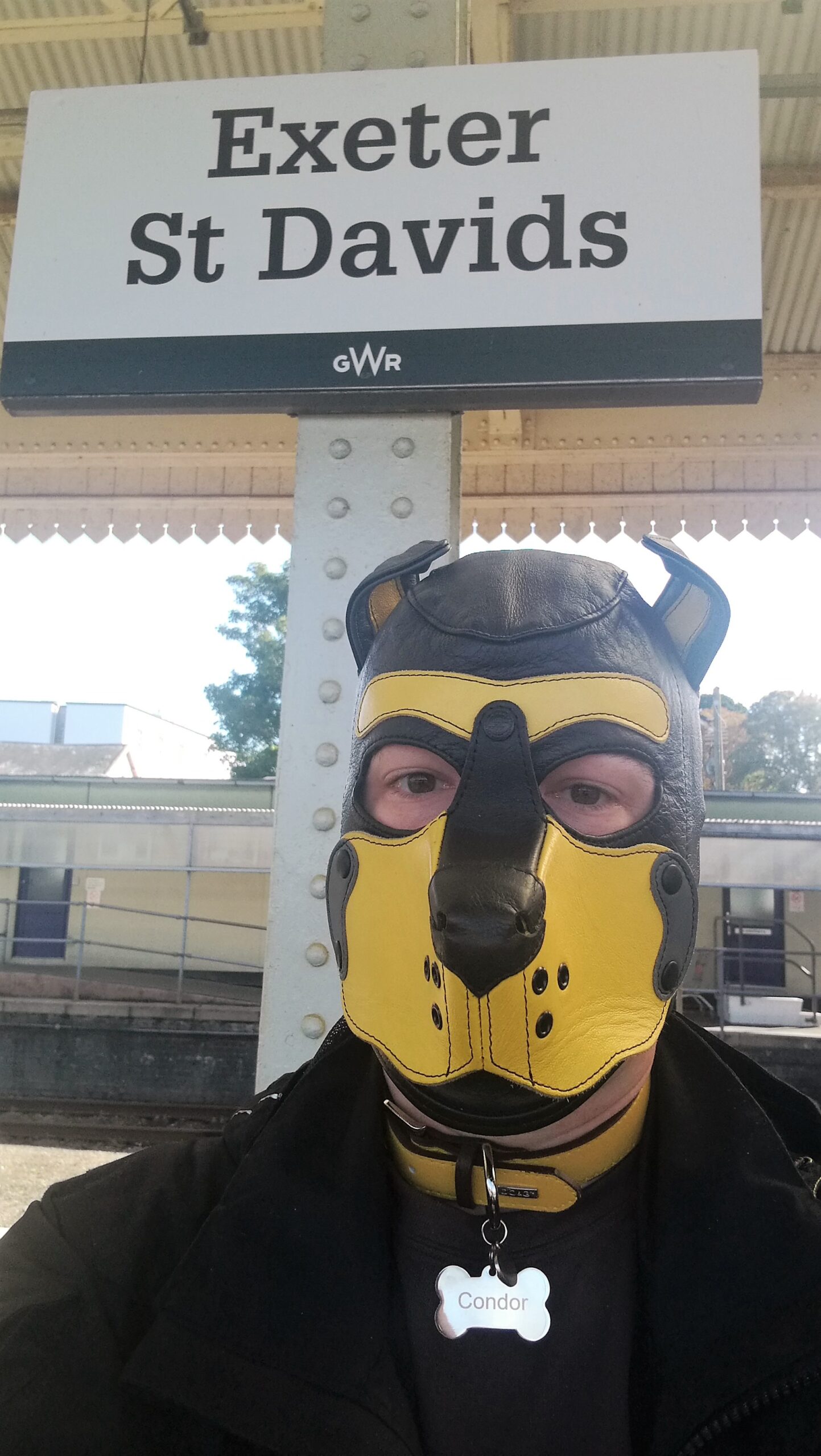 Exeter St Davids