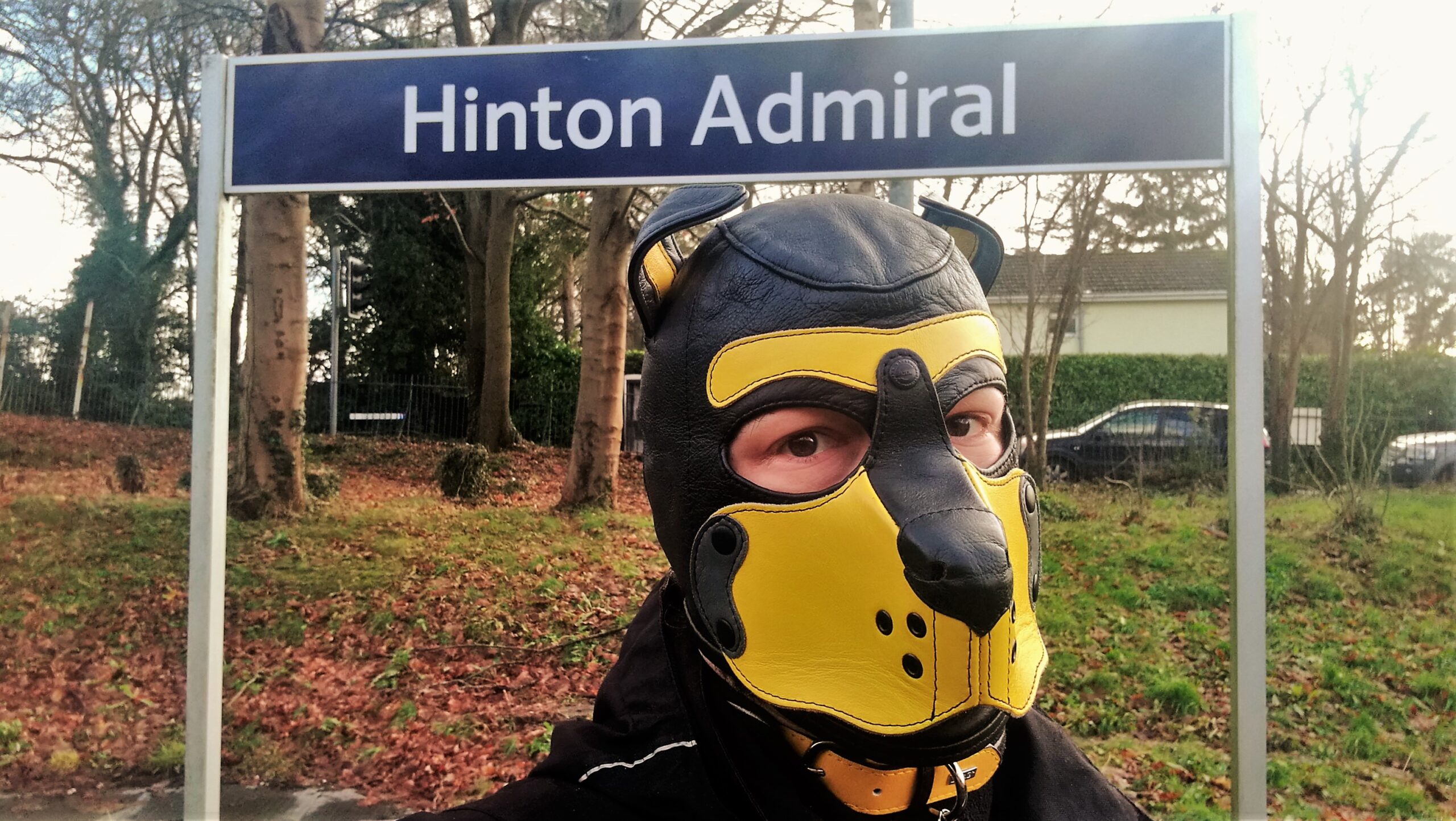 Hinton Admiral